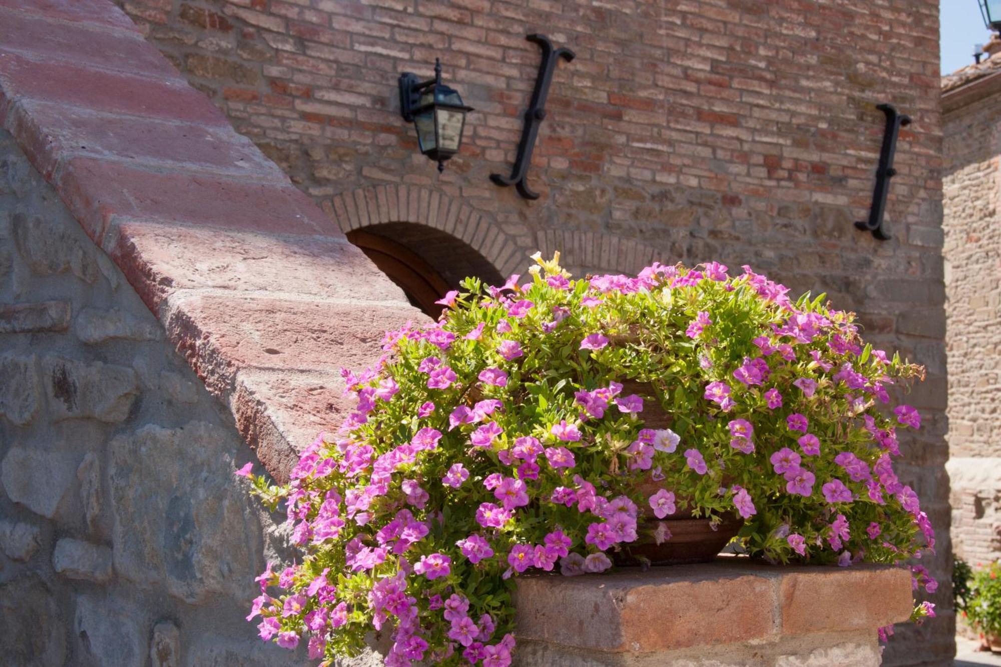 Bed and Breakfast Casale L'Antico Carro Cortona Exterior foto