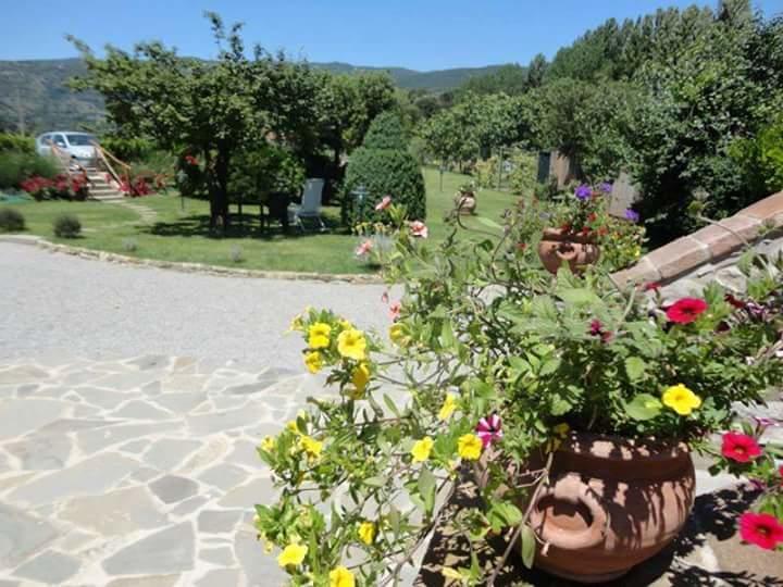 Bed and Breakfast Casale L'Antico Carro Cortona Exterior foto